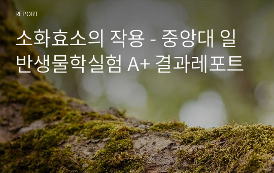 소화효소의 작용 - 중앙대 일반생물학실험 A+ 결과레포트