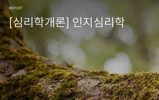 [심리학개론] 인지심리학