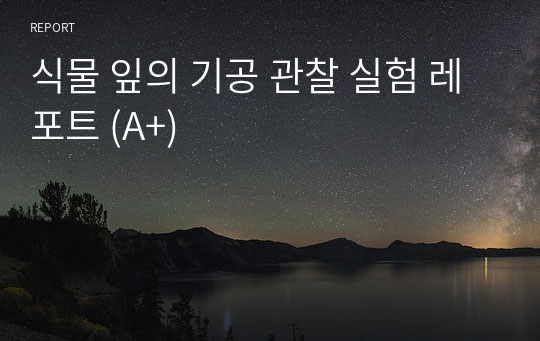 식물 잎의 기공 관찰 실험 레포트 (A+)