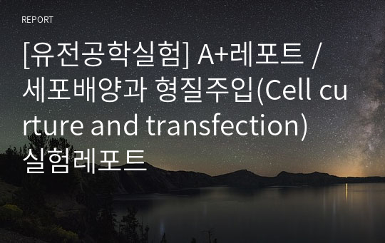 [유전공학실험] A+레포트 / 세포배양과 형질주입(Cell curture and transfection) 실험레포트