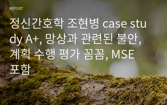 정신간호학 조현병 case study A+, 망상과 관련된 불안, 계획 수행 평가 꼼꼼, MSE 포함