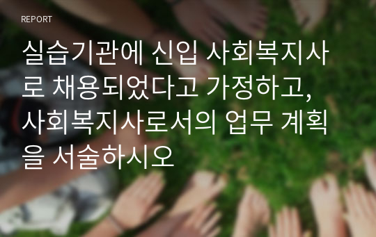 실습기관에 신입 사회복지사로 채용되었다고 가정하고, 사회복지사로서의 업무 계획을 서술하시오