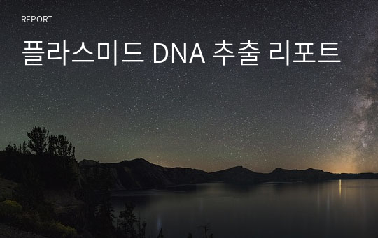 플라스미드 DNA 추출 리포트