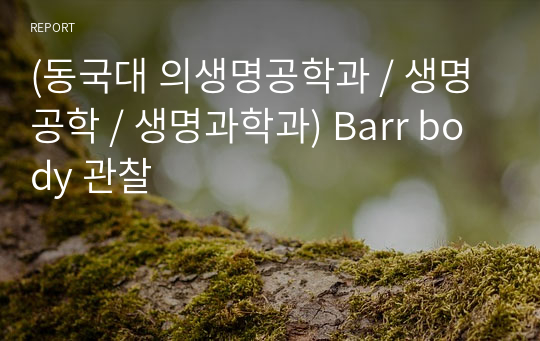 (동국대 의생명공학과 / 생명공학 / 생명과학과) Barr body 관찰