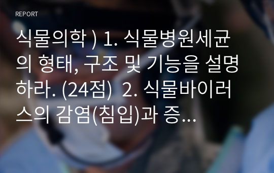 식물의학 ) 식물병원세균의 형태, 구조 및 기능. (24점)  2. 식물바이러스의 감염(침입)과 증식의 과정을 설명하라. (6점)