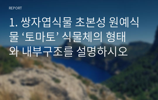 1. 쌍자엽식물 초본성 원예식물 ‘토마토’ 식물체의 형태와 내부구조를 설명하시오