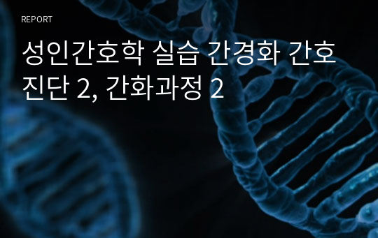 성인간호학 실습 간경화 간호진단 2, 간화과정 2