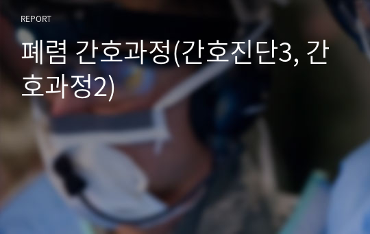 폐렴 간호과정(간호진단3, 간호과정2)