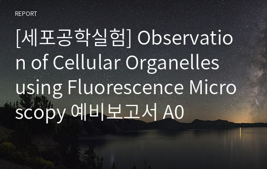 [세포공학실험] Observation of Cellular Organelles using Fluorescence Microscopy 예비보고서 A0