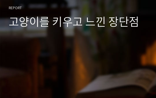 고양이를 키우고 느낀 장단점