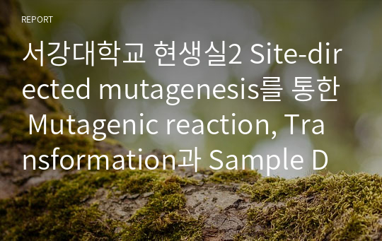 서강대학교 현생실2 Site-directed mutagenesis를 통한 Mutagenic reaction, Transformation과 Sample DNA의 DNA 서열 분석