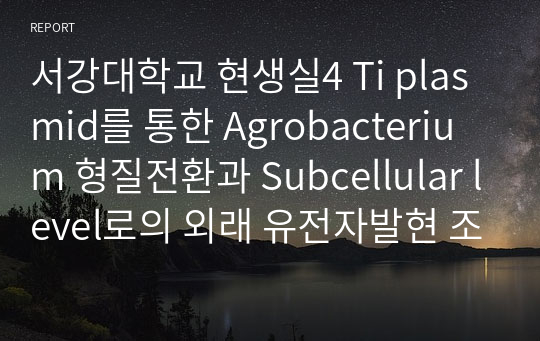 서강대학교 현생실4 Ti plasmid를 통한 Agrobacterium 형질전환과 Subcellular level로의 외래 유전자발현 조사, TLC를 통한 TAG분리
