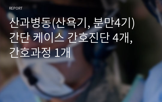 산과병동(산욕기, 분만4기) 간단 케이스 간호진단 4개, 간호과정 1개