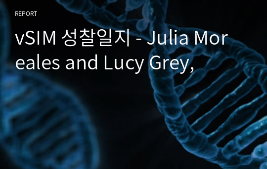 vSIM 성찰일지 - Julia Moreales and Lucy Grey,