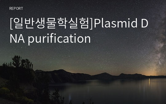 [일반생물학실험]Plasmid DNA purification