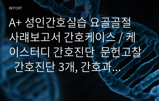 A+ 성인간호실습 요골골절  사럐보고서 간호케이스 / 케이스터디 간호진단  문헌고찰  간호진단 3개, 간호과정 1개