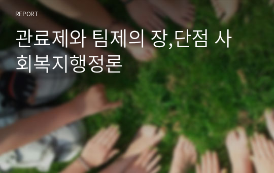 관료제와 팀제의 장,단점 사회복지행정론