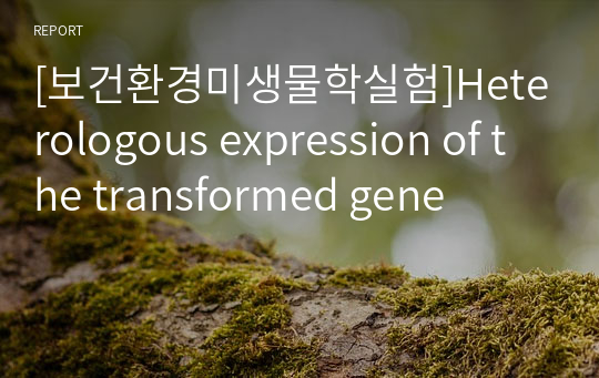 [보건환경미생물학실험]Heterologous expression of the transformed gene