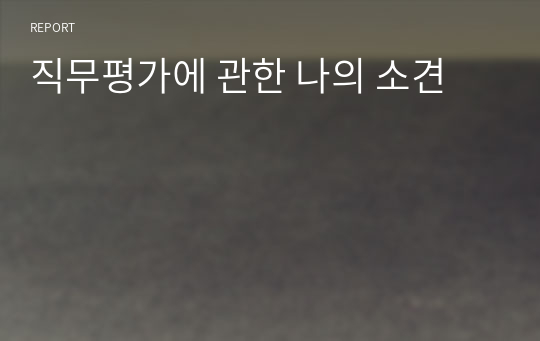 직무평가에 관한 나의 소견