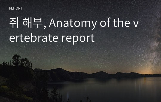 쥐 해부, Anatomy of the vertebrate report