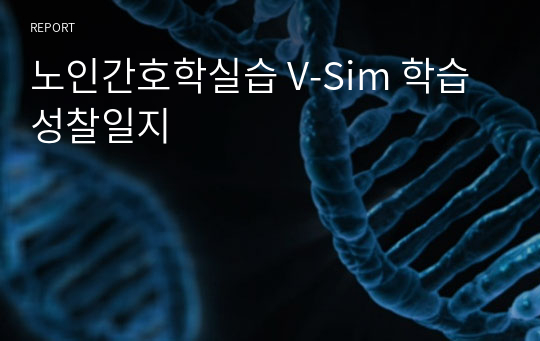 노인간호학실습 V-Sim 학습성찰일지