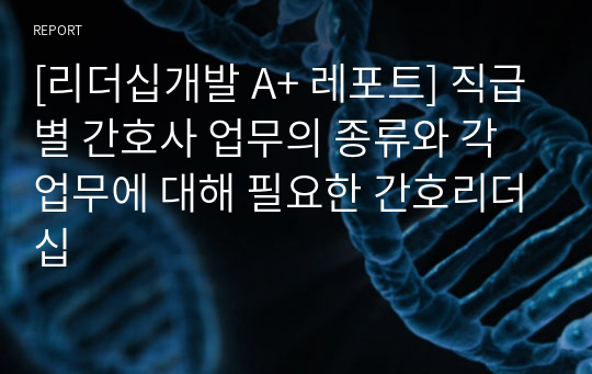 [리더십개발 A+ 레포트] 직급별 간호사 업무의 종류와 각 업무에 대해 필요한 간호리더십