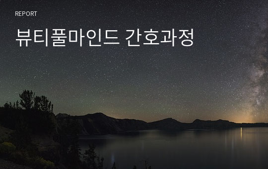 뷰티풀마인드 간호과정