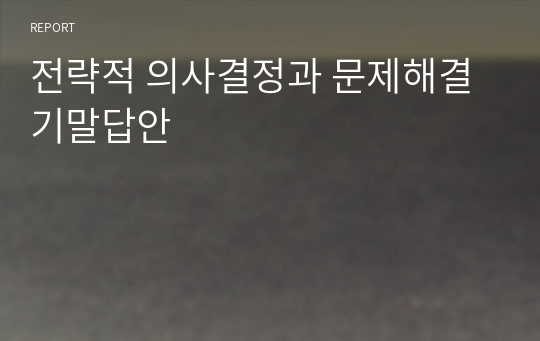 전략적 의사결정과 문제해결 기말답안