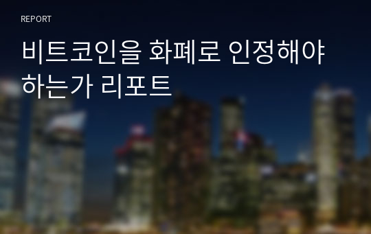 비트코인을 화폐로 인정해야하는가 리포트