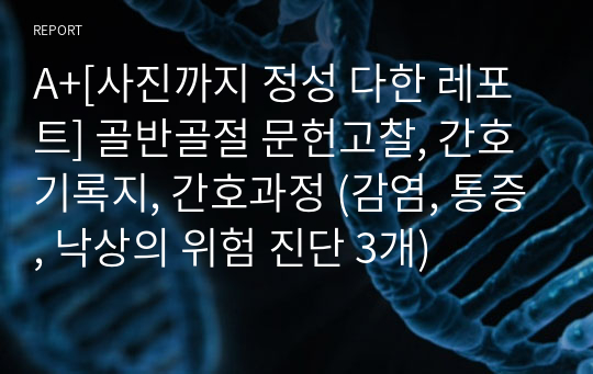 A+[사진까지 정성 다한 레포트] 골반골절 문헌고찰, 간호기록지, 간호과정 (감염, 통증, 낙상의 위험 진단 3개)