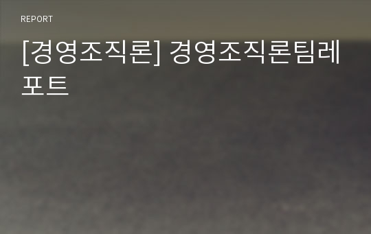 [경영조직론] 경영조직론팀레포트