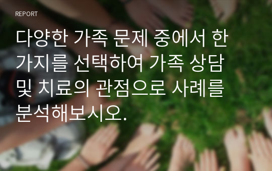 다양한 가족 문제 중에서 한 가지를 선택하여 가족 상담 및 치료의 관점으로 사례를 분석해보시오.