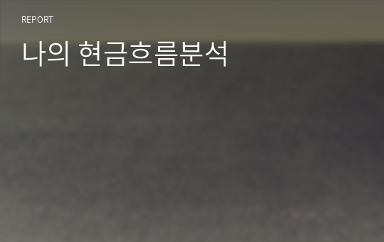 나의 현금흐름분석