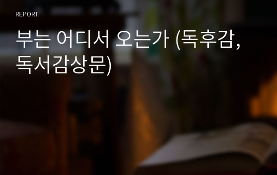 부는 어디서 오는가 (독후감, 독서감상문)