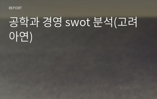 공학과 경영 swot 분석(고려아연)