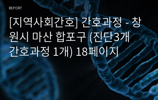 [지역사회간호] 간호과정 - 창원시 마산 합포구 (진단3개 간호과정 1개) 18페이지