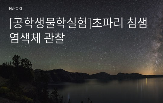 [공학생물학실험]초파리 침샘염색체 관찰