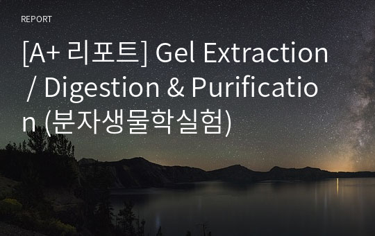 [A+ 리포트] Gel Extraction / Digestion &amp; Purification (분자생물학실험)