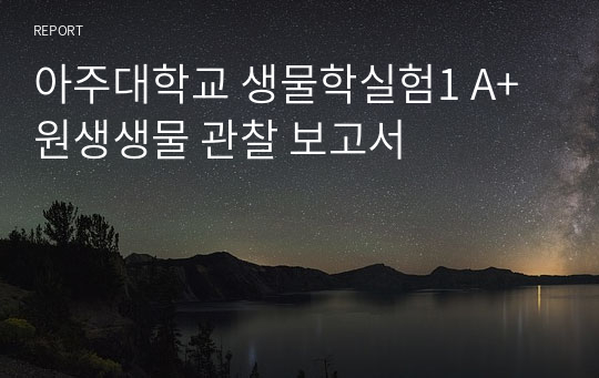 아주대학교 생물학실험1 A+ 원생생물 관찰 보고서