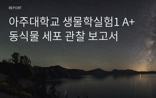 아주대학교 생물학실험1 A+ 동식물 세포 관찰 보고서