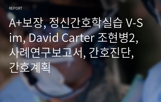 A+보장, 정신간호학실습 V-Sim, David Carter 조현병2, 사례연구보고서, 간호진단, 간호계획