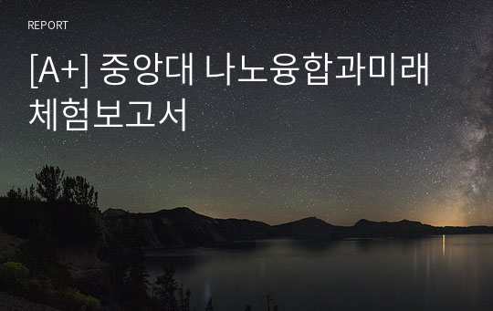 [A+] 중앙대 나노융합과미래 체험보고서