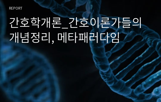 간호학개론_간호이론가들의 개념정리, 메타패러다임