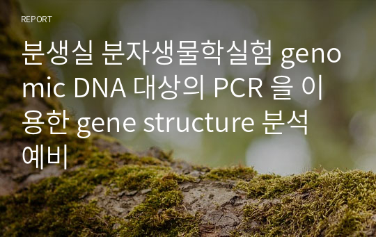 분생실 분자생물학실험 genomic DNA 대상의 PCR 을 이용한 gene structure 분석 예비