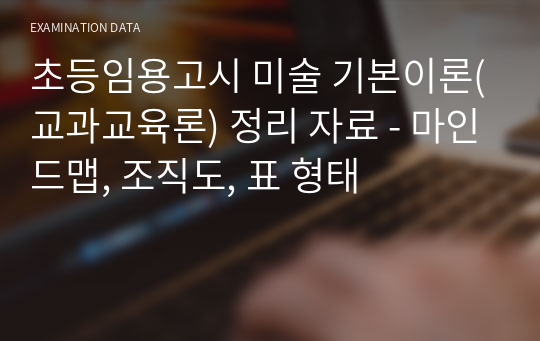 초등임용고시 미술 기본이론(교과교육론) 정리 자료 - 마인드맵, 조직도, 표 형태