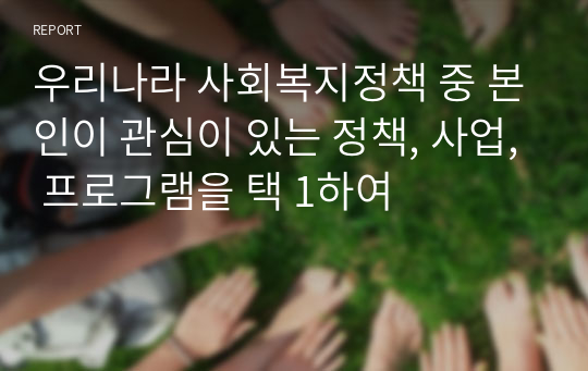 우리나라 사회복지정책 중 본인이 관심이 있는 정책, 사업, 프로그램을 택 1하여