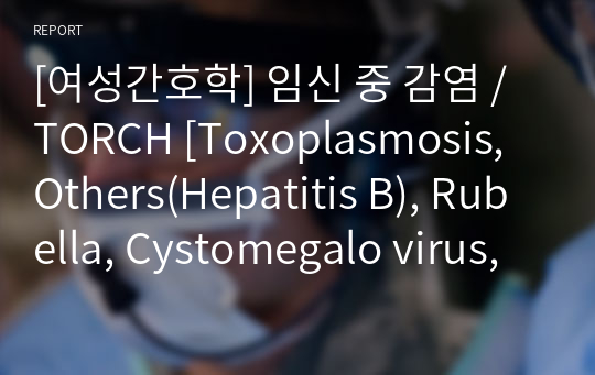 [여성간호학] 임신 중 감염 / TORCH [Toxoplasmosis,  Others(Hepatitis B), Rubella, Cystomegalo virus, Herpes simplex virus,결핵 (Tuberculosis)] / 비뇨기계 감염 [무증상성 세균뇨(ASB), 방광염, 신우신염, 사구체신염] 자료조사, 요약정리, 문헌고찰, 교과서 정리