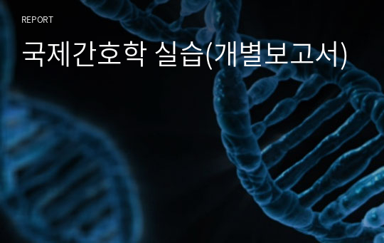 국제간호학 실습(개별보고서)