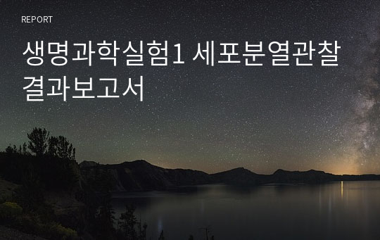 생명과학실험1 세포분열관찰 결과보고서