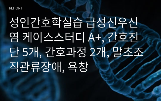 성인간호학실습 급성신우신염 케이스스터디 A+, 간호진단 5개, 간호과정 2개, 말초조직관류장애, 욕창